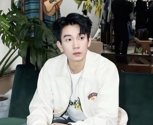 王子奇恋情爆料最新视频,甜蜜互动引网友热议